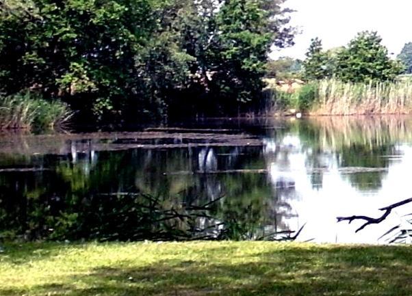 Ferienwohnungen Im Kunst.Haus Am See Doberlug-Kirchhain Exterior photo